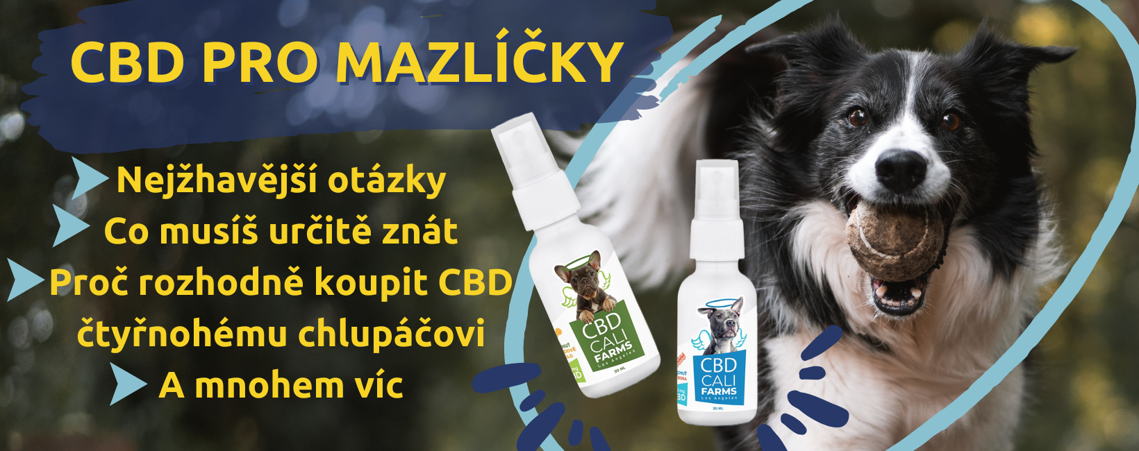 CBD a domácí mazlíčci