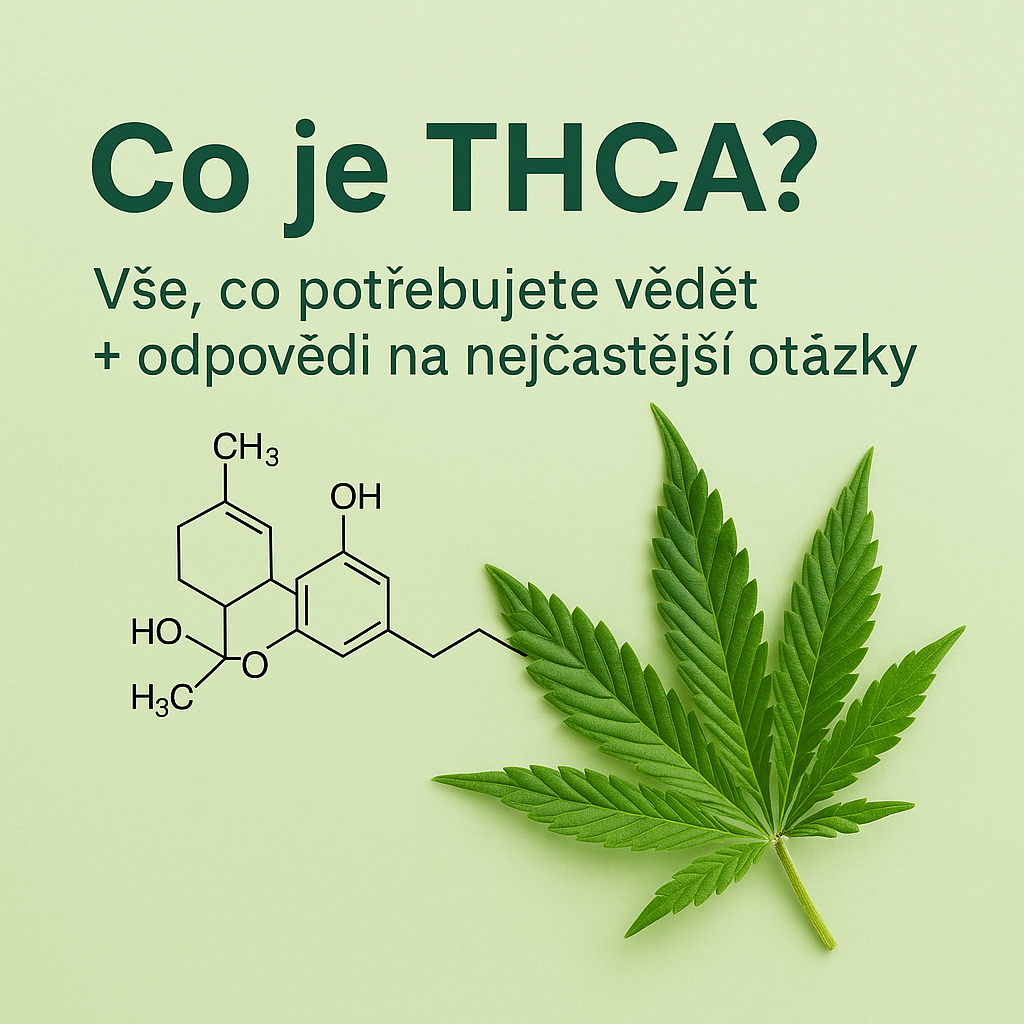 Co je THCA? Vše, co potřebujete vědět + odpovědi na nejčastější otázky