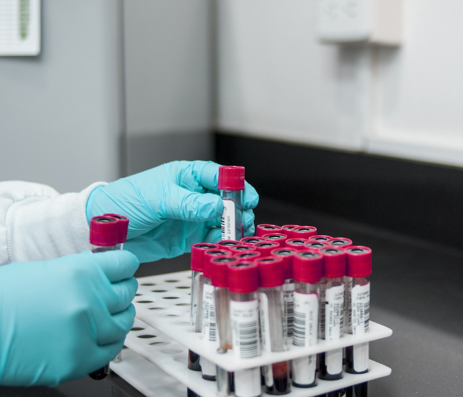 Jak dlouho je HHC v krvi ?