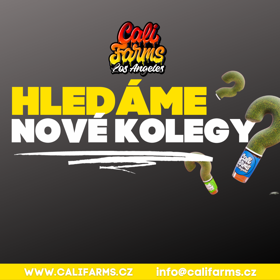 Hledáme nové hvězdy do týmu. Chceš do našeho gangu? Teď je tvoje chvíle. Hledáme řidiče.!