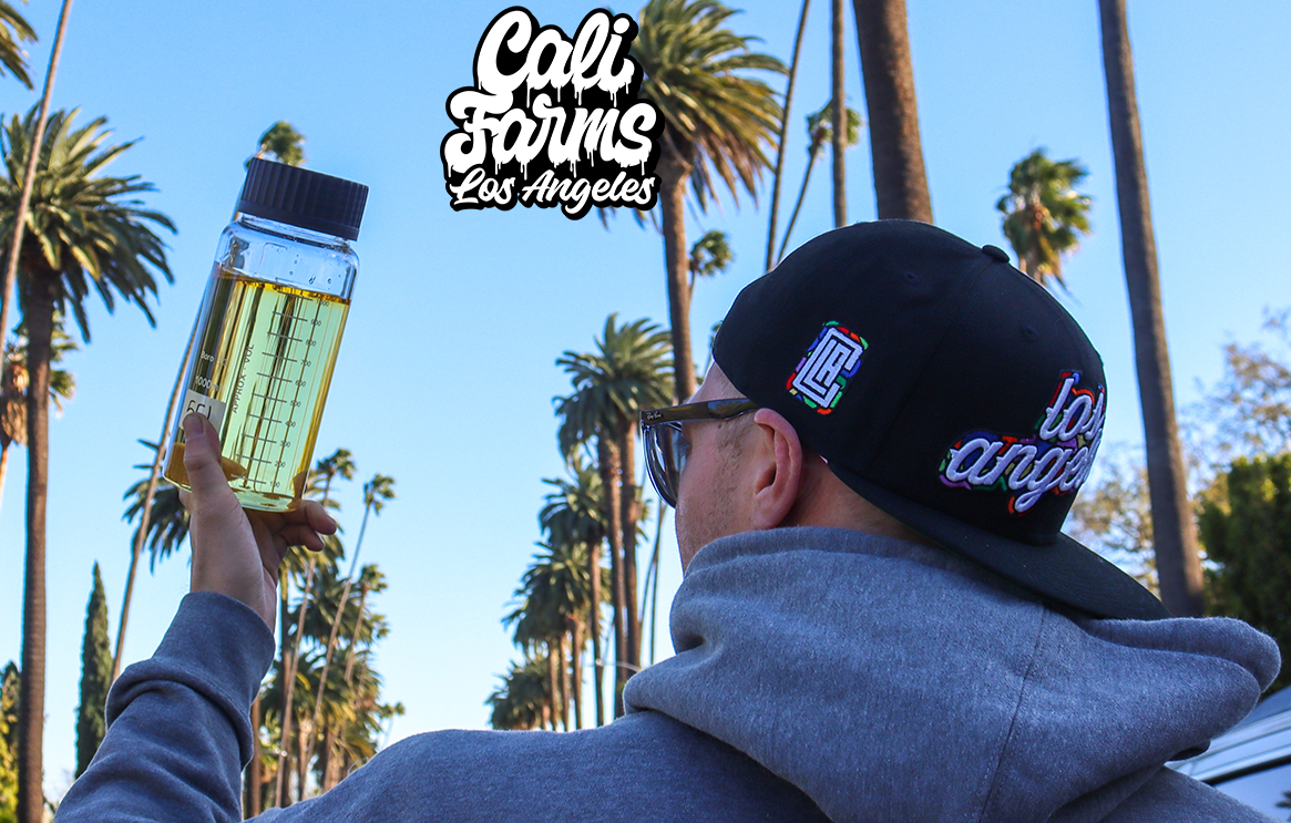 „Konopí už dávno není jen tráva“ – přečti si rozhovor s naším Jakubem a nakoukni do zákulisí CaliFarms!