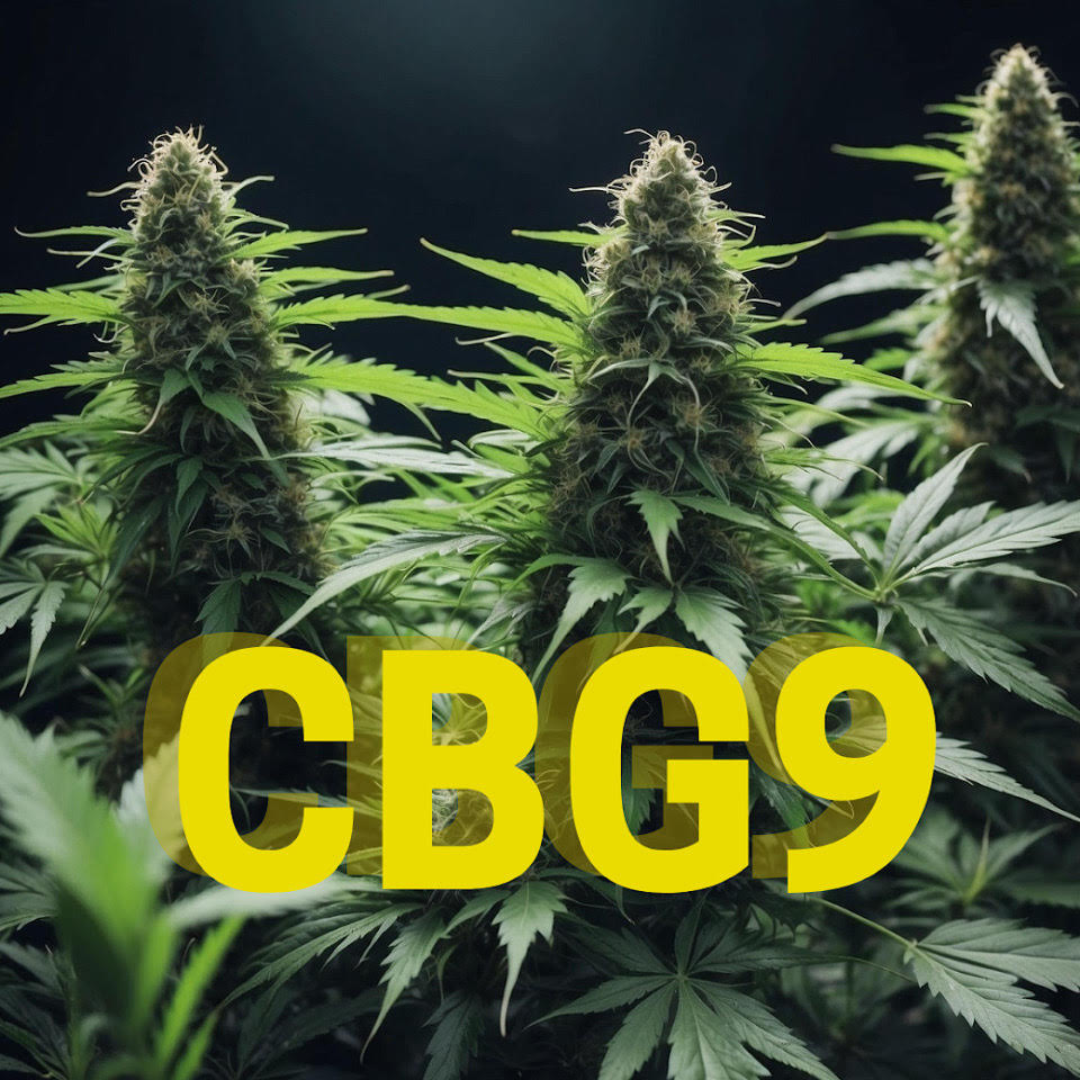 Novinka CBG9! Unikátní objev mezi kanabinoidy, který přináší mnoho výhod