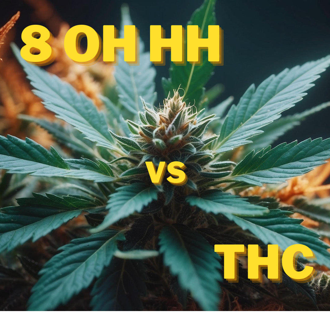 8 OH HHC může přinést jemnější a kontrolovanější účinek ve srovnání s THC