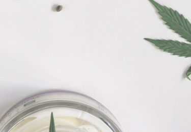 faq-header