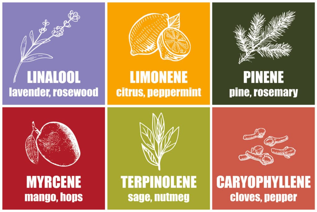 terpenes