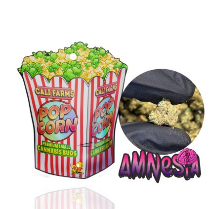 POPCORN AMNESIA