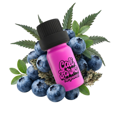 Blue Raz Terpeny copy