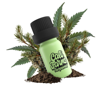 Gorilla Glue Terpeny