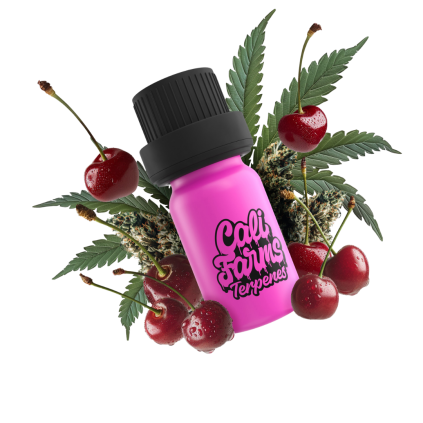 Cherry Diesel Terpeny