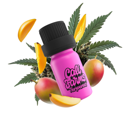Mango Dream Terpeny