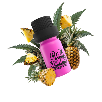 Pineapple Slushie Terpeny