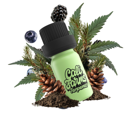 Silver Haze Terpeny