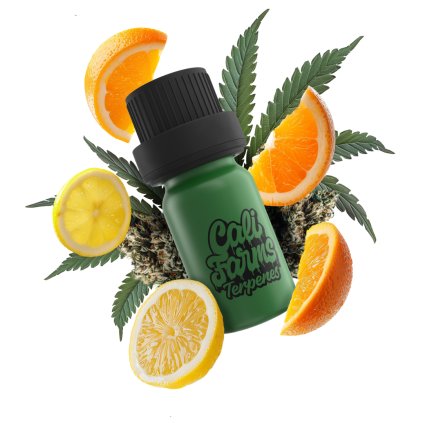 LR MIMOSA terpeny bílé pozadí