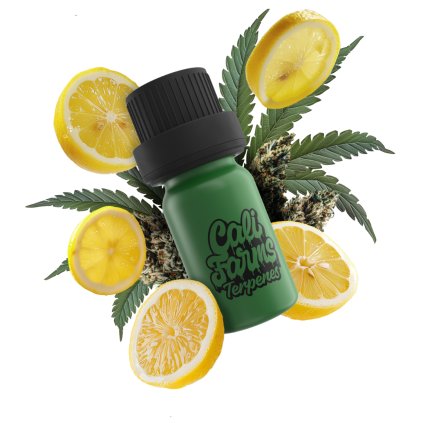 LR WHITE RUNTZ terpeny bílé pozadí