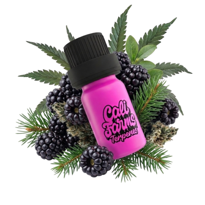 Blackberry Kush Terpeny copy