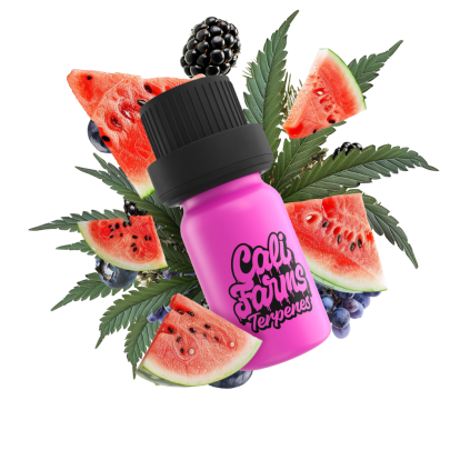 Watermelon Sour Patch Terpeny