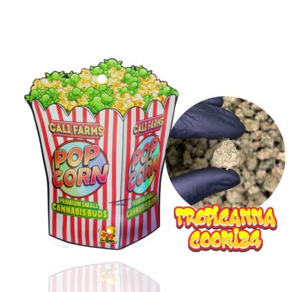 1492 tropicanna cookies