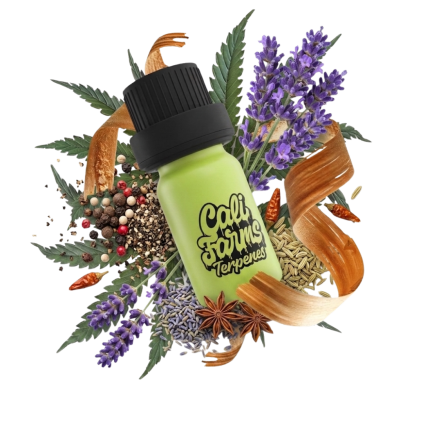 white widow terpeny 2