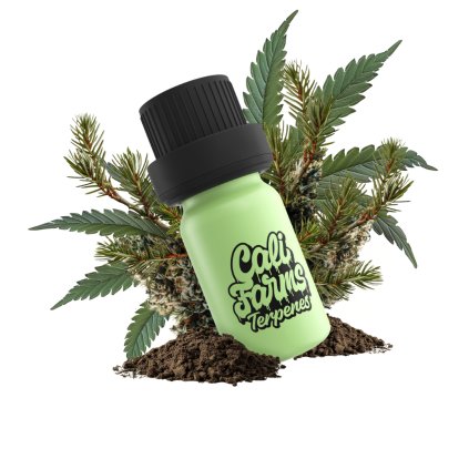 GORILLA GLUE