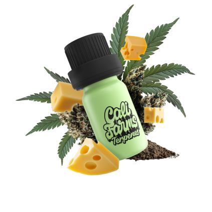 New York Cheesecake Terpeny
