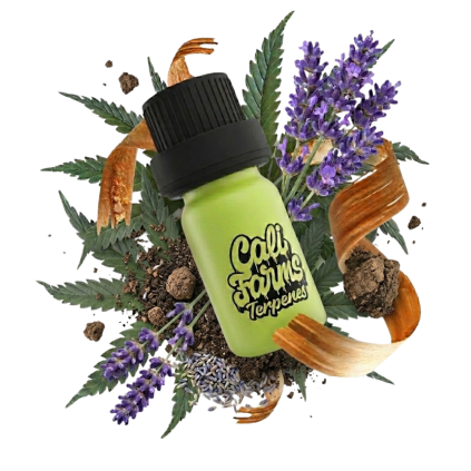 Zushi Terpeny