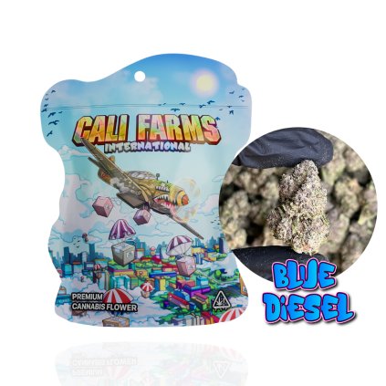 CBD květy BLUE DIESEL - CBD 1,11 %  CBG 7,63 %  THC 0,04 %