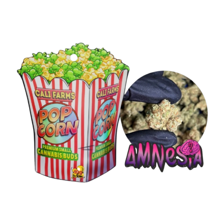 THC X květy Amnesia 10 g