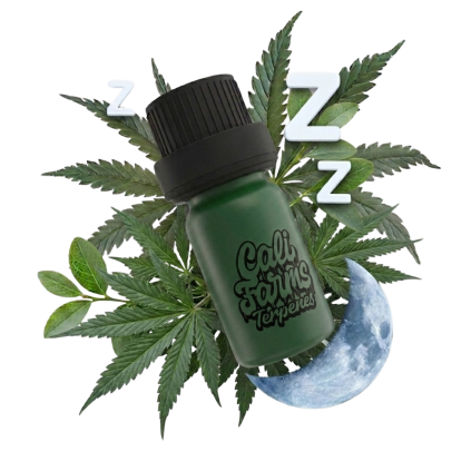 Sleep terpeny 2