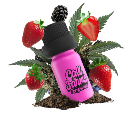 Strawberry Diesel Terpeny