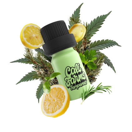 Skywalker OG terpeny