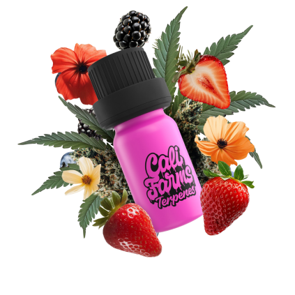 Strawberry Cough Terpeny