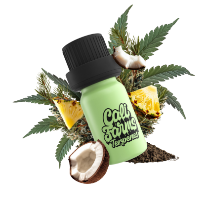 Pineapple express Terpeny