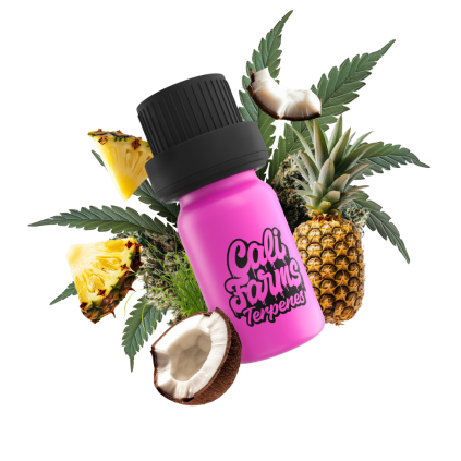 Forbidden fruit Terpeny