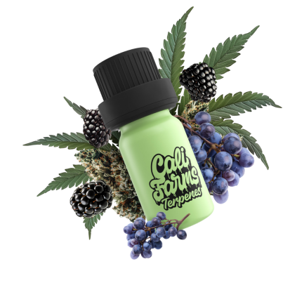 Grandaddy Purple Terpeny