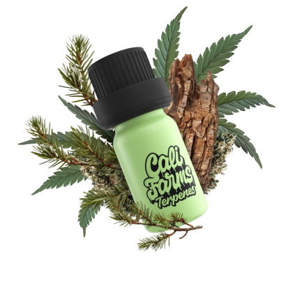 LA Confidential Terpeny