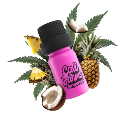 MAUI WOWIE