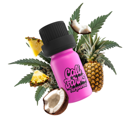 Maui Wowie Terpeny
