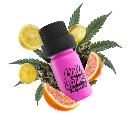 Grapefruit OG Terpeny