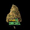 Sour diesel THCP