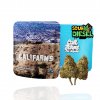 Sour diesel THCP eshop