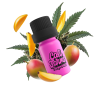 Mango Dream Terpeny