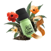 Afgan Kush Terpeny