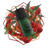 Focus Terpeny