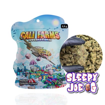 1402 sleepy joe cbn kve ty