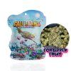 THC X Forbidden Fruit
