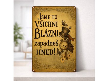 Vtipná dárková cedule Jsme blázni