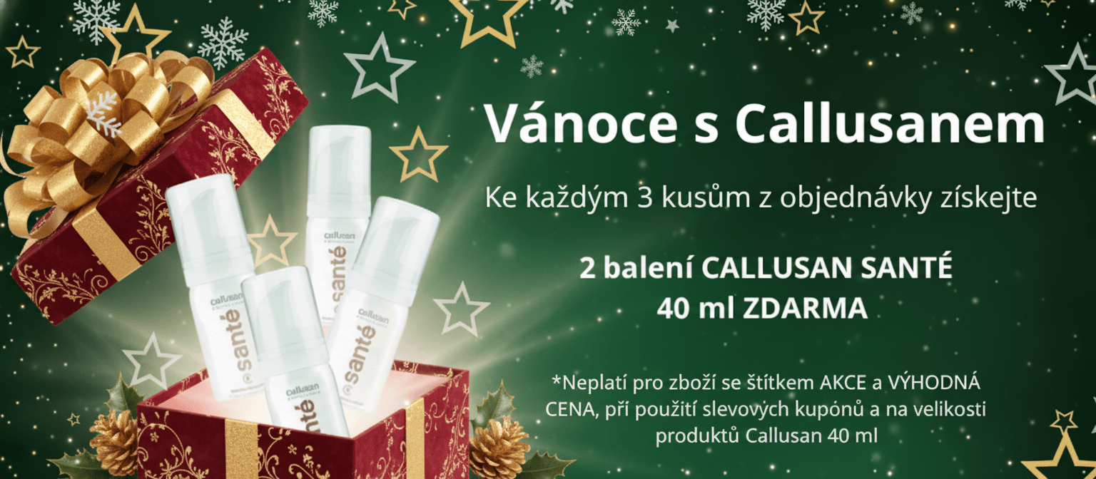 Vánoce_2025_zelená_desktop