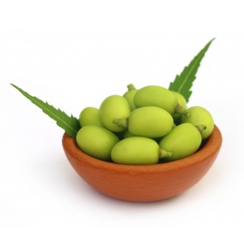 Nimbový olej aneb zázrak přírody pro nás i pro naše domácí mazlíčky