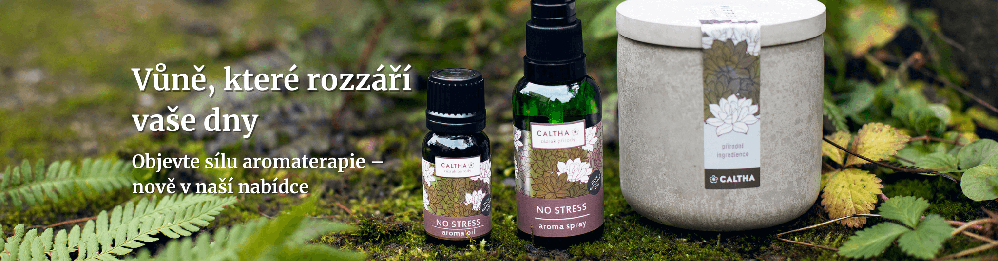 Vůně, které rozzáří zimní dny Objevte sílu aromaterapie – nově v naší nabídce