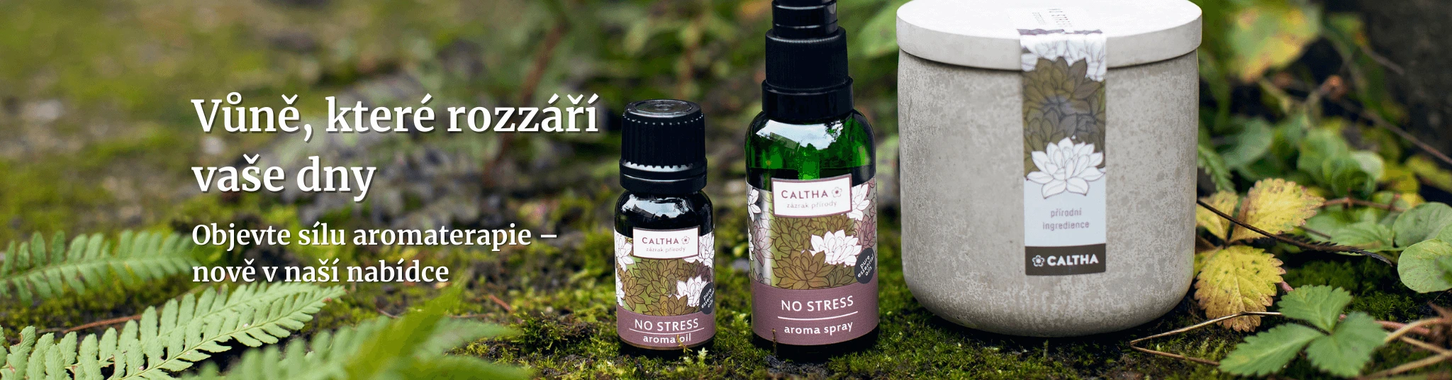 Vůně, které rozzáří zimní dny Objevte sílu aromaterapie – nově v naší nabídce